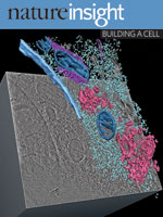 The buildingacell system cover