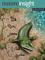 Evolution cover