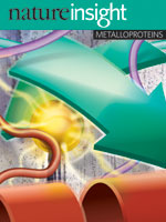 The metalloproteins system cover
